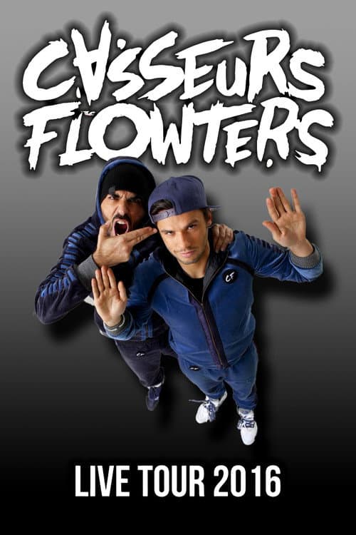 Casseurs Flowters : Live Tour afişi