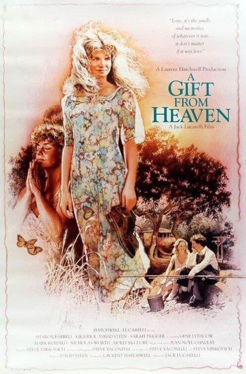 A Gift from Heaven afişi
