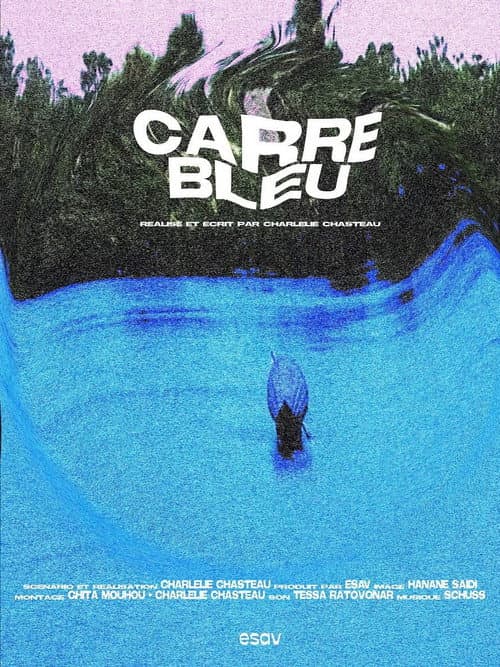 Carré bleu afişi