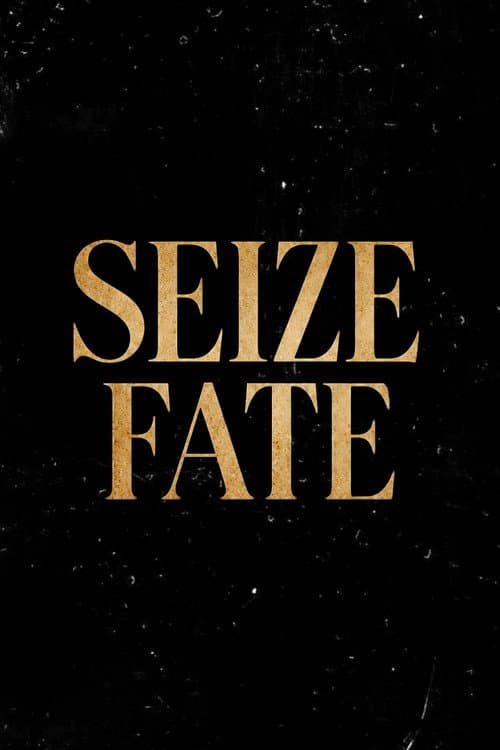 Seize fate afişi