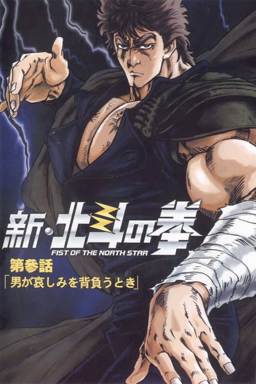 New Fist of the North Star afişi