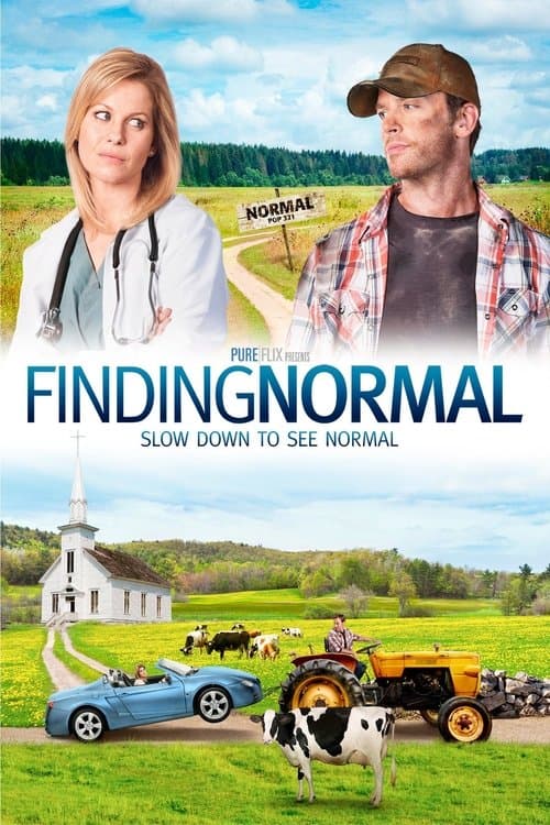 Finding Normal afişi