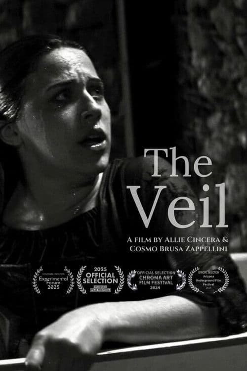 The Veil afişi
