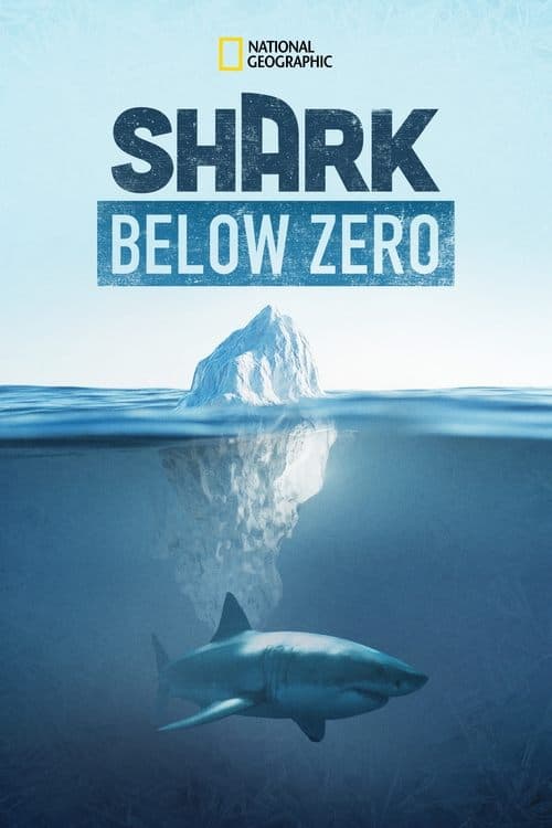 Shark Below Zero afişi