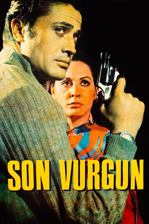Son Vurgun afişi
