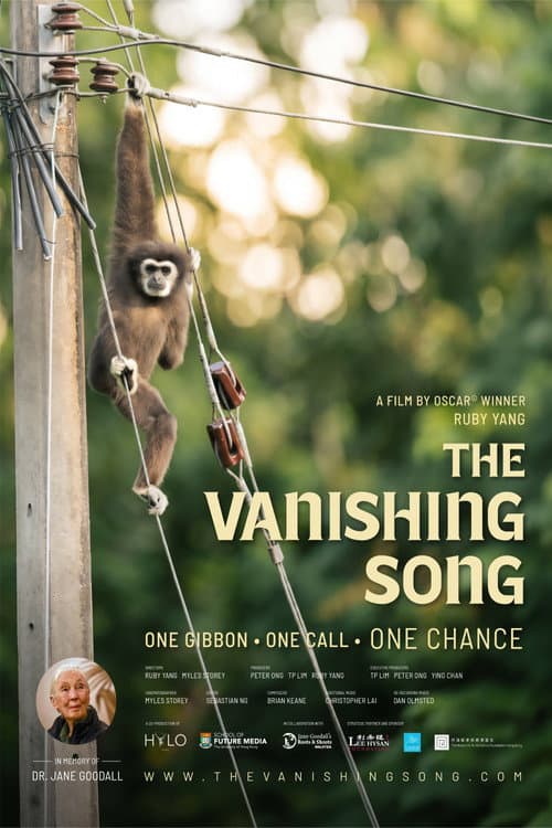 The Vanishing Song afişi