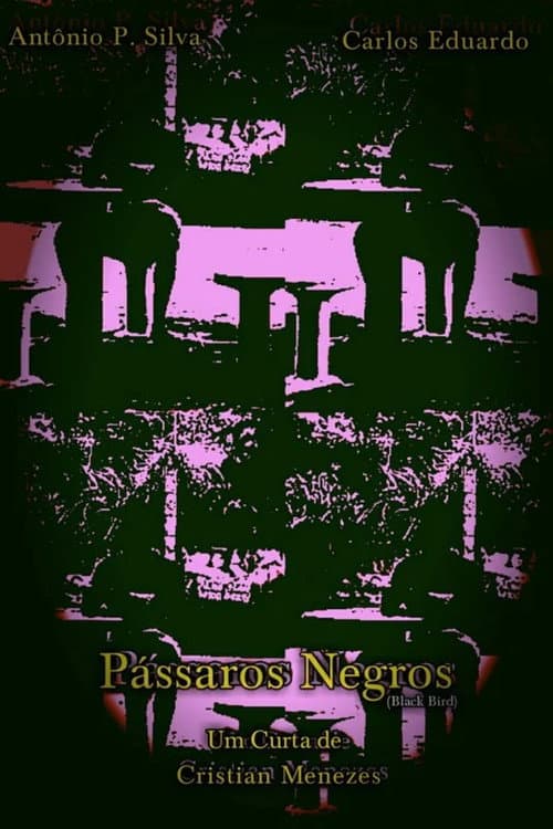 Pássaros Negros