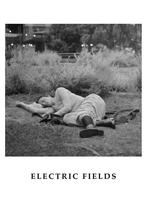 Electric Fields afişi