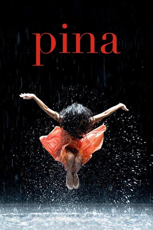 Pina afişi
