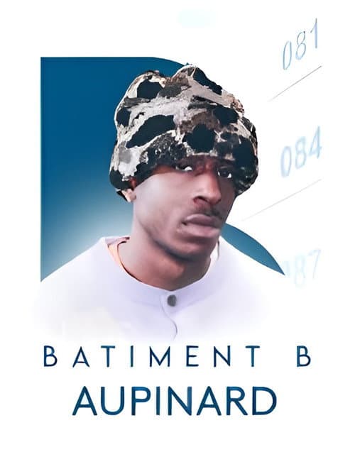 Aupinard - Batiment B afişi