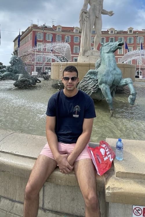 The Misadventures of Joseph Boutros afişi