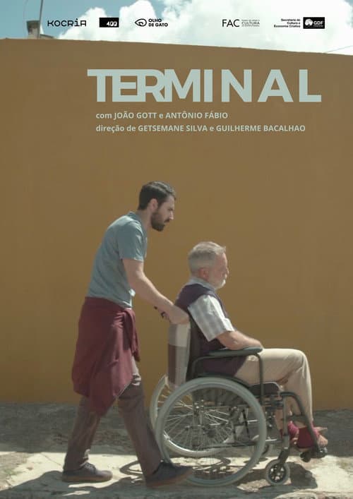 Terminal afişi