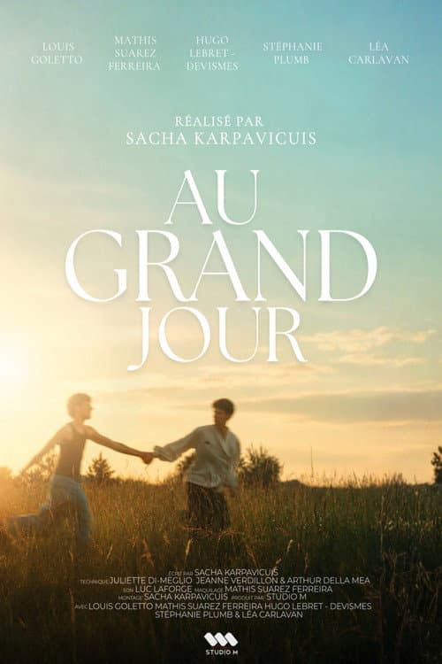 Au grand jour afişi
