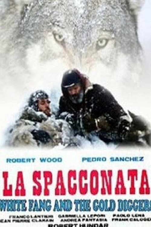 La spacconata afişi