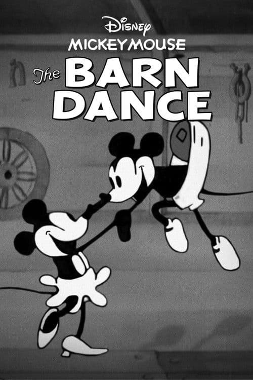 The Barn Dance afişi
