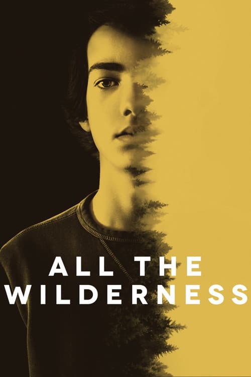 All the Wilderness afişi