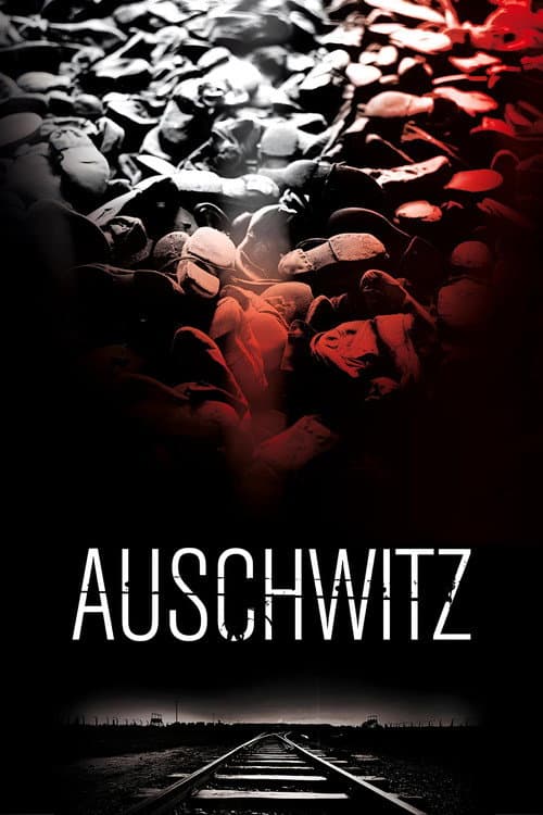 Auschwitz afişi