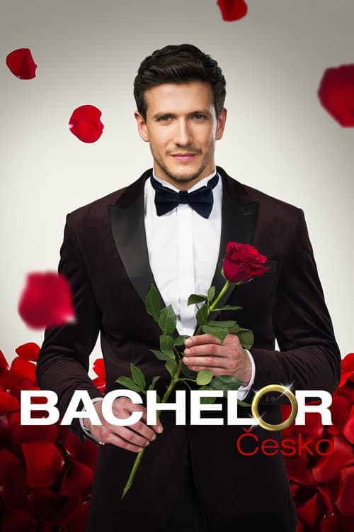 Bachelor afişi