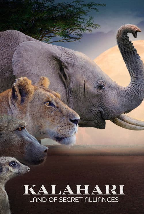 Kalahari: Land of Secret Alliances afişi