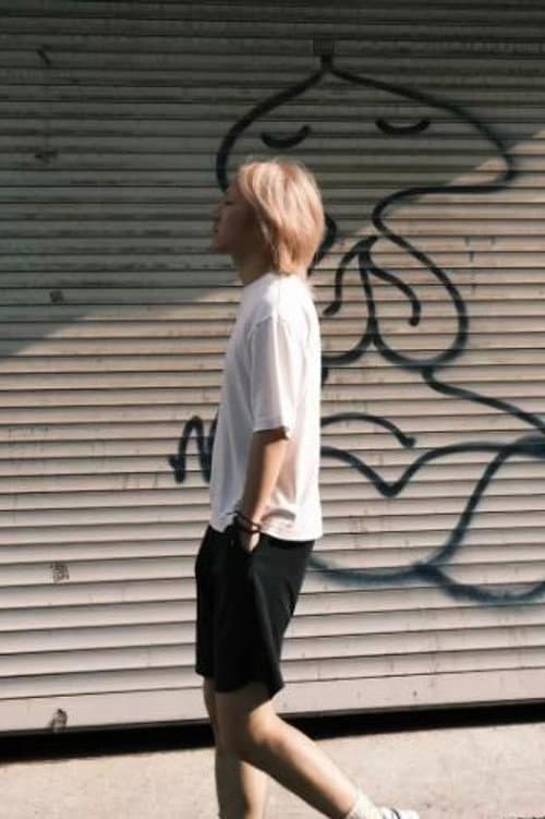 水母
