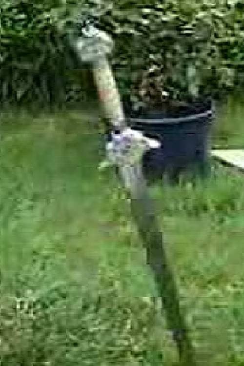 Ninja Squaraus afişi