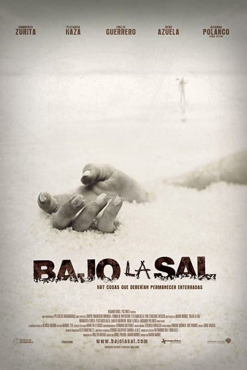 Bajo la Sal afişi