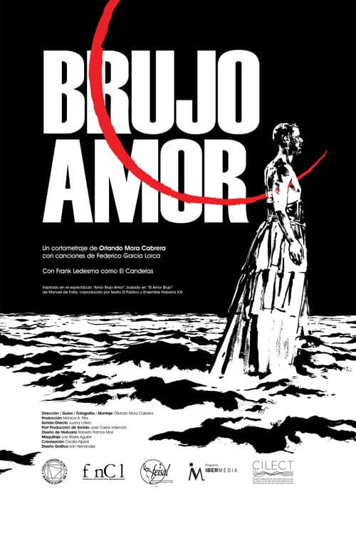 Brujo amor afişi