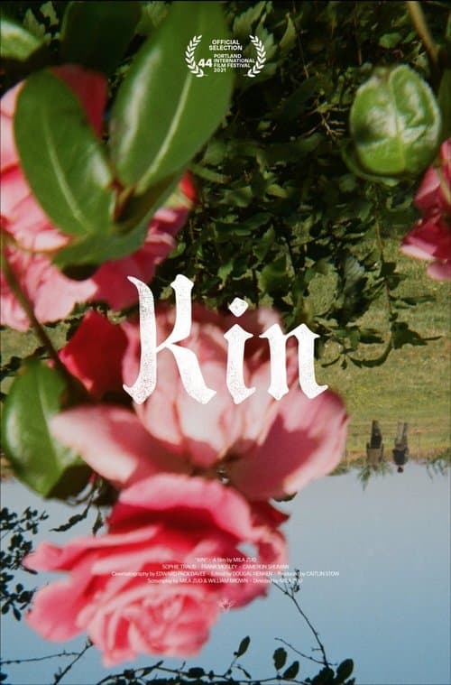 Kin afişi