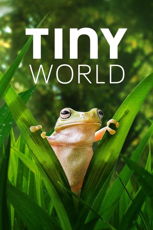 Tiny World afişi