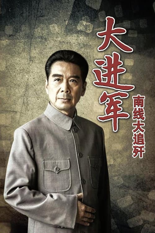 大进军2:南线大追歼 afişi
