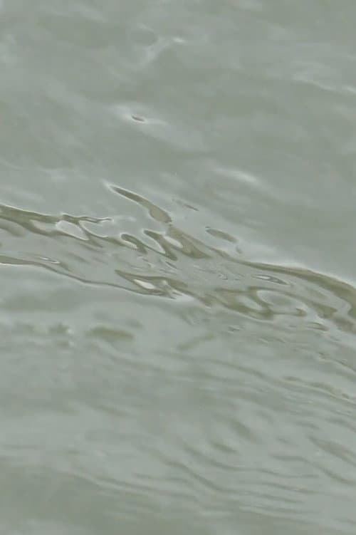 entre les vagues (un hommage) afişi