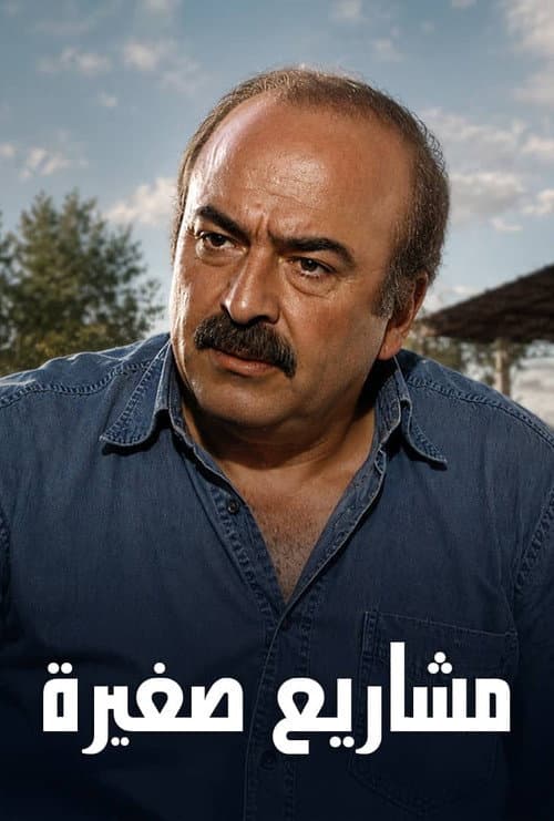 Small Projects afişi