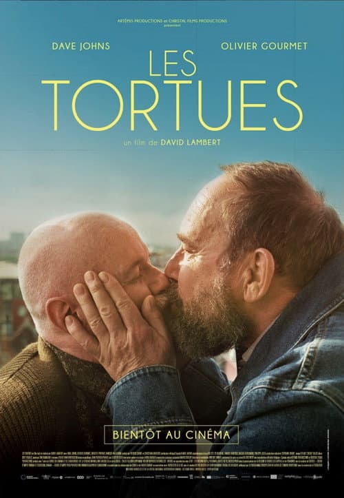 Les tortues afişi