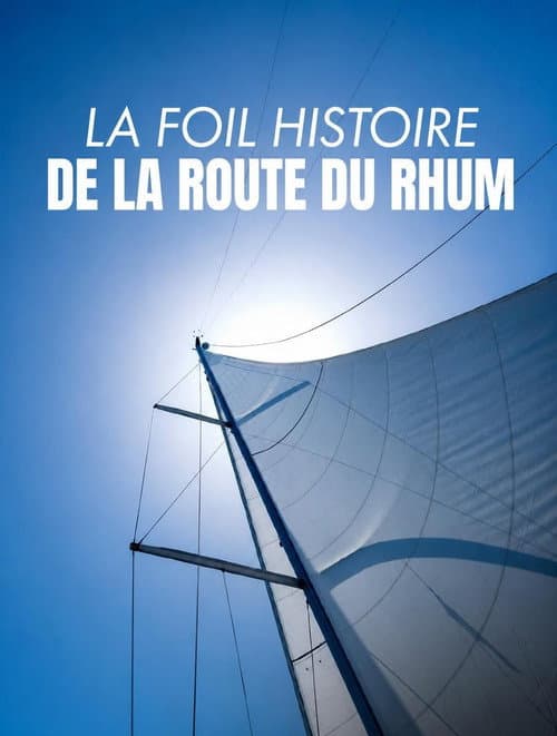 La foil histoire de la Route du Rhum afişi