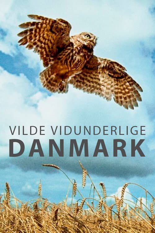 Vilde vidunderlige Danmark afişi