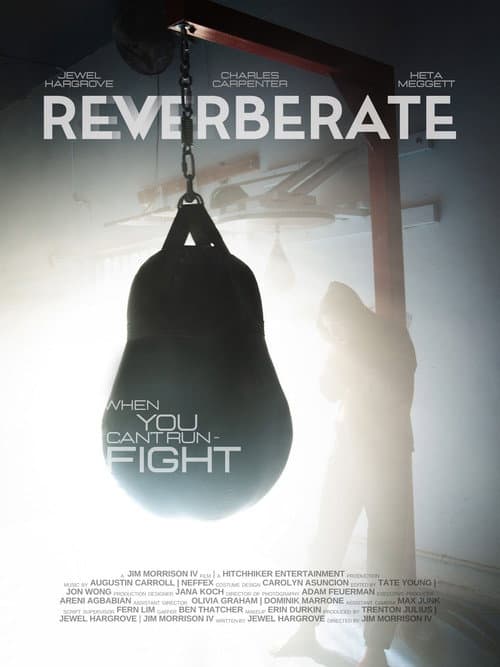 Reverberate afişi