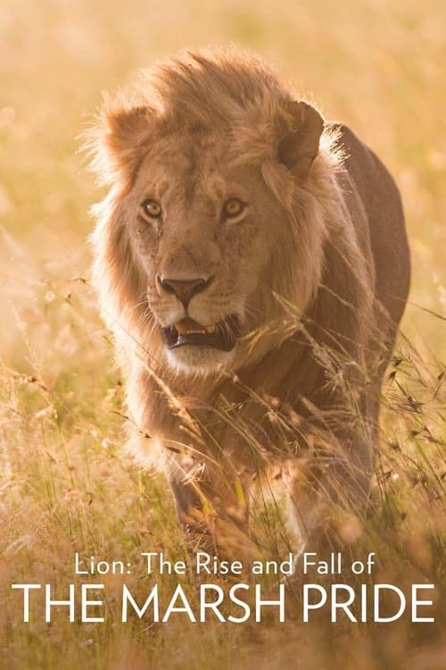 Lion: The Rise and Fall of the Marsh Pride afişi