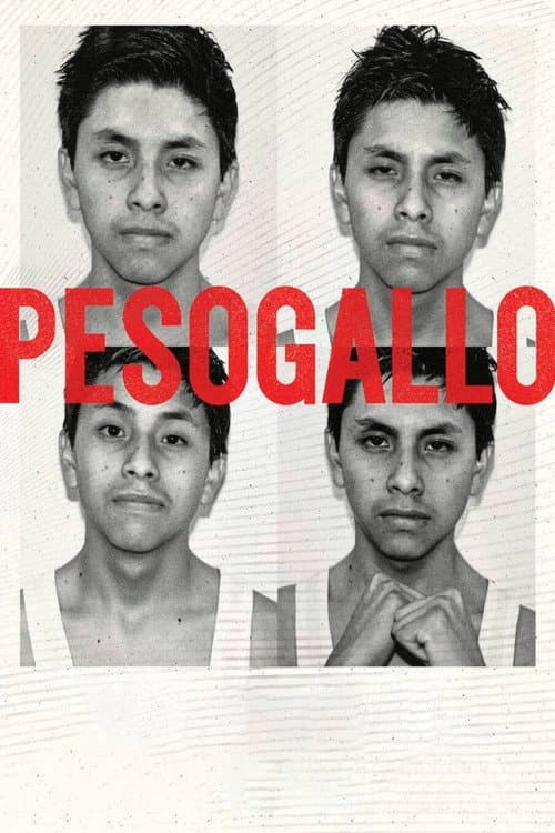 Peso Gallo afişi