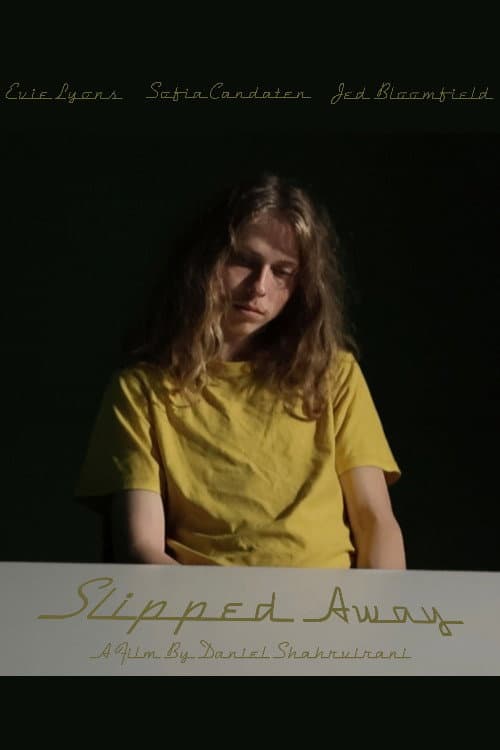 Slipped Away afişi