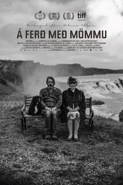Á Ferð með Mömmu afişi
