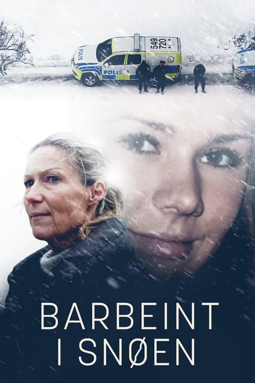 Barbeint i Snøen afişi