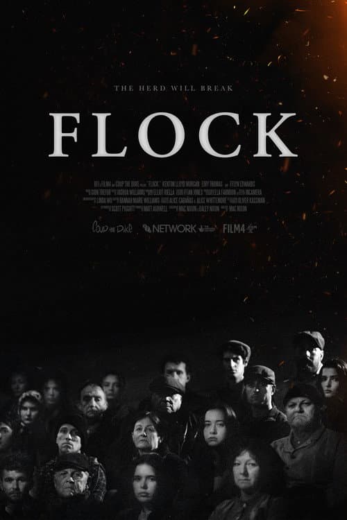Flock afişi