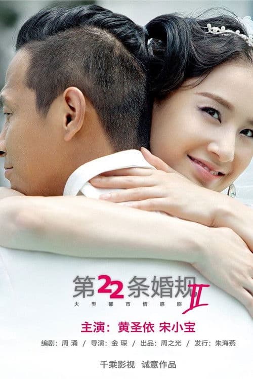 第22条婚规2 afişi