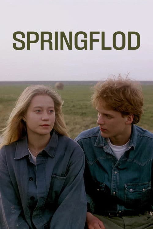 Springflod afişi