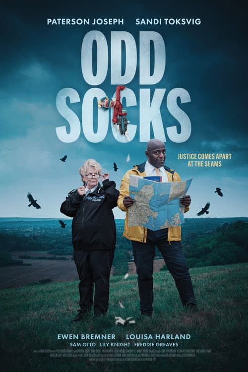 Odd Socks afişi