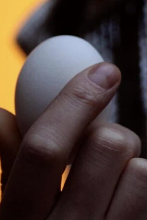 EGG afişi