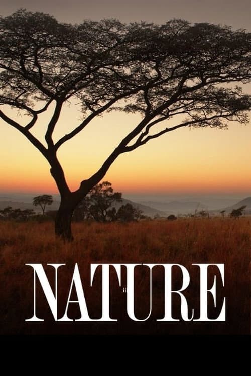 Nature afişi