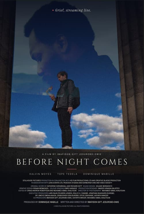 Before Night Comes afişi