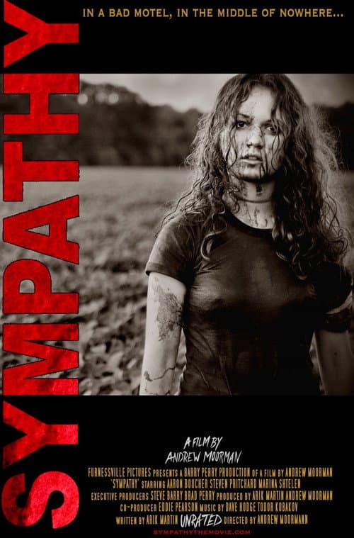 Sympathy afişi