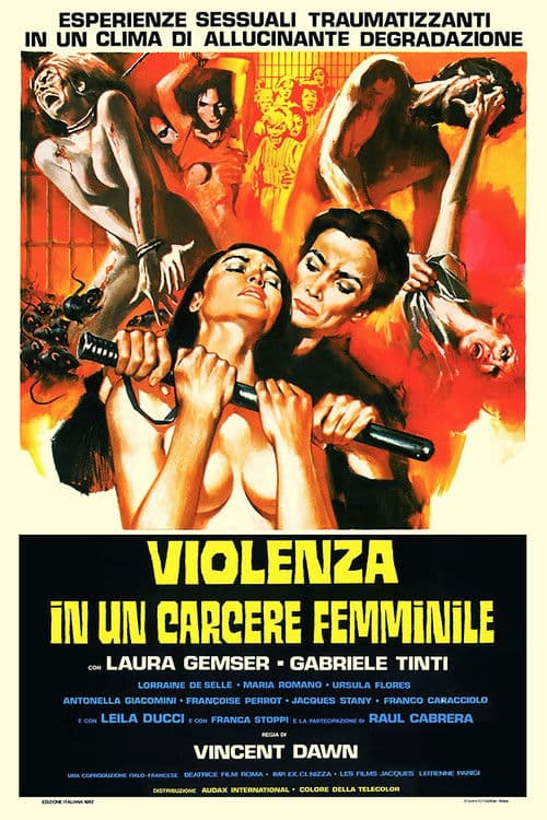 Violenza in un carcere femminile afişi